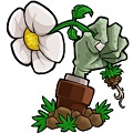 植物大战僵尸EST版图标