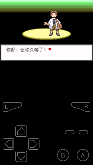 口袋妖怪极光石汉化版图1