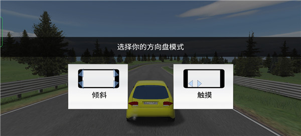 拉力赛车极限竞速(Rally Fury)