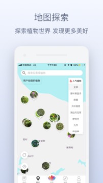 花伴侣图1