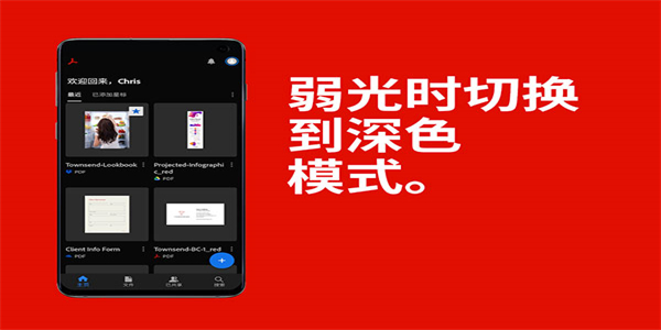 AdobeReader图3
