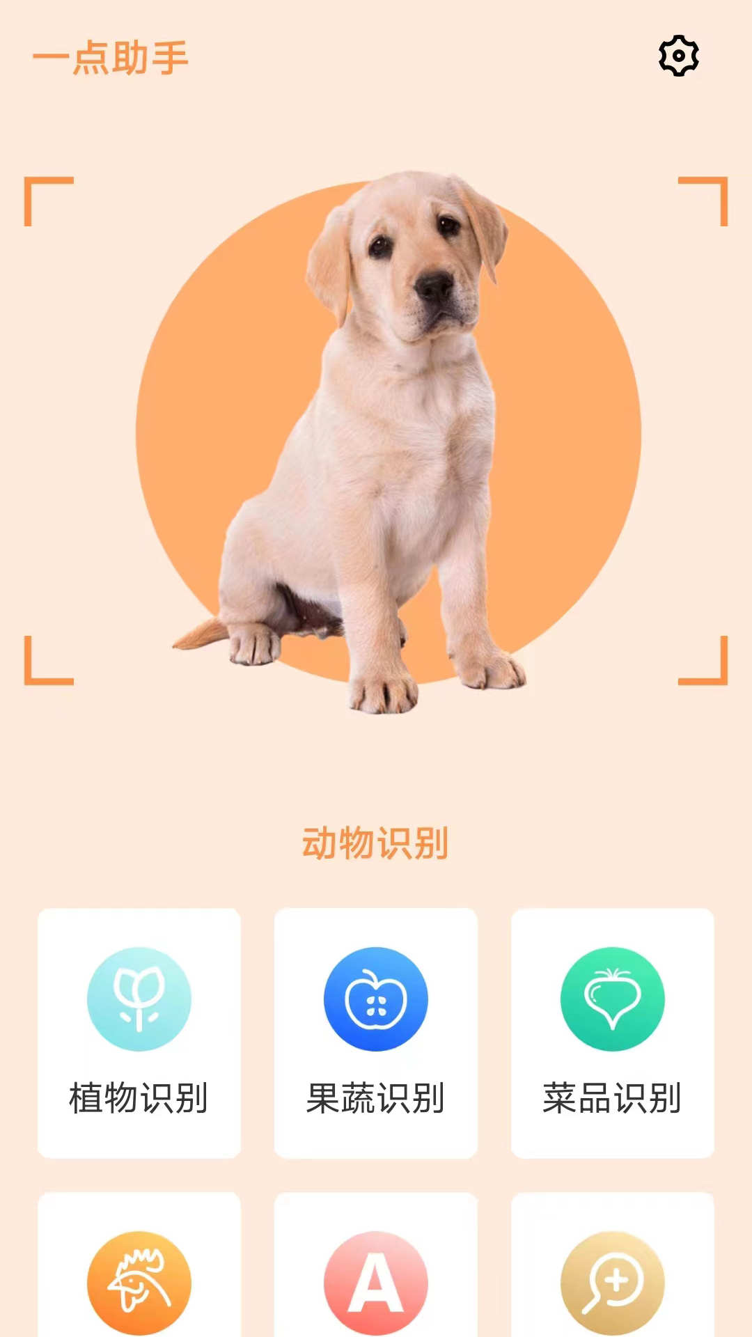一点助手APP官方版图1