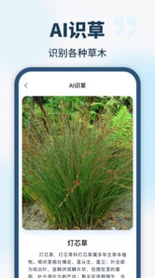智能识别全能王图3