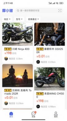 摩小猪图2