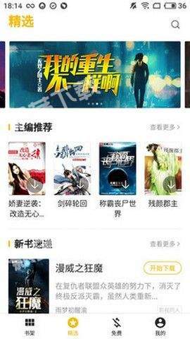 盛阅小说图2