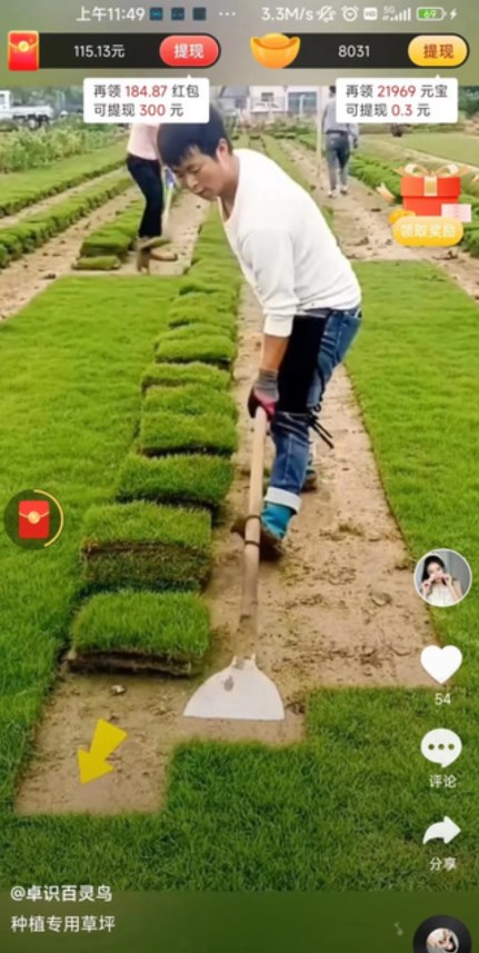 胖小喵图2
