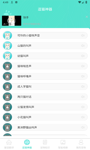宠猫翻译图2