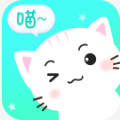 宠猫翻译图标