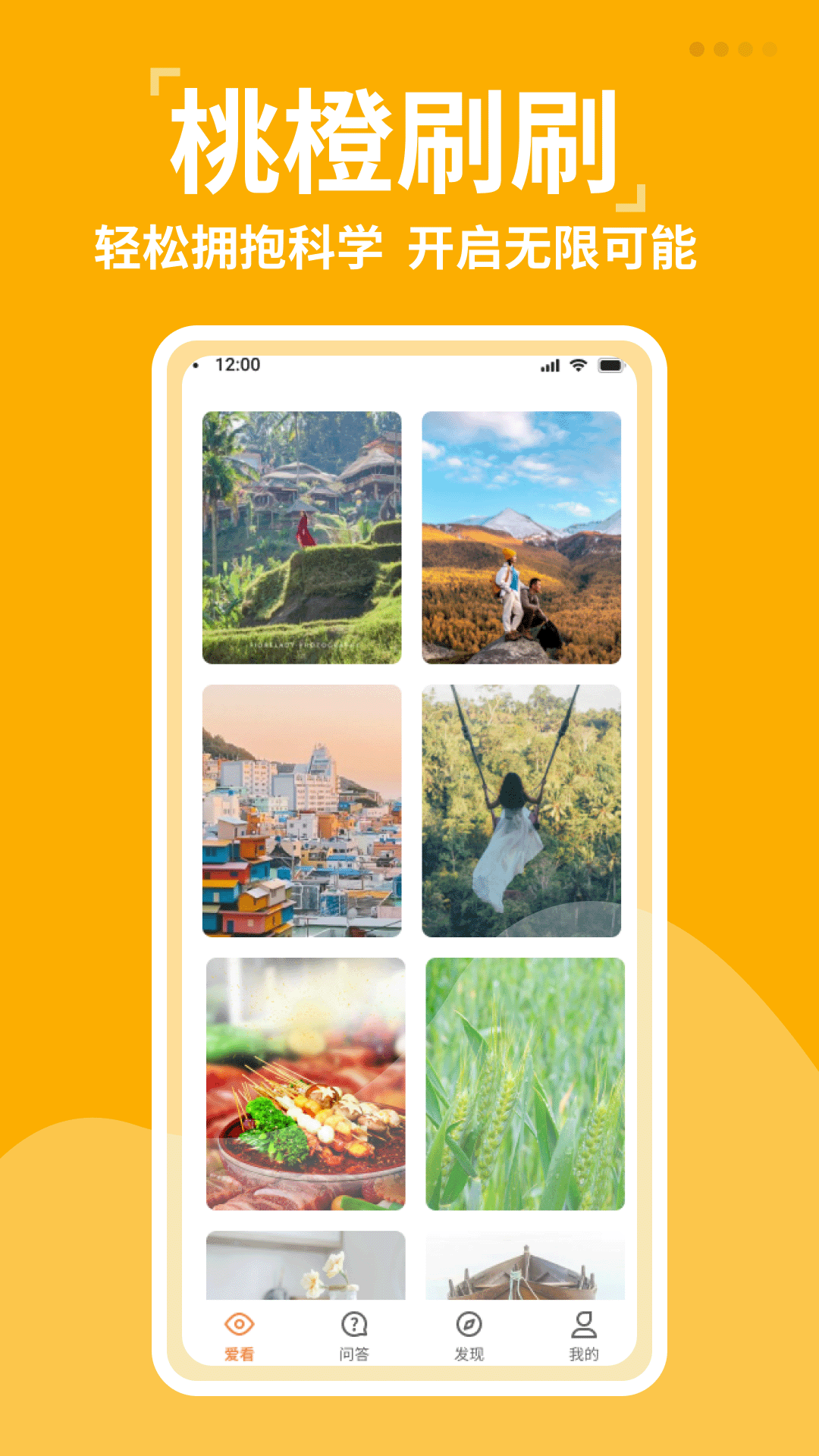 桃橙刷刷图1