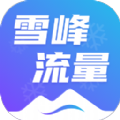 雪峰流量图标