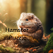 我的仓鼠拼图My Hamster Puzzle