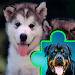 狗狗拼图Dogs Jigsaw