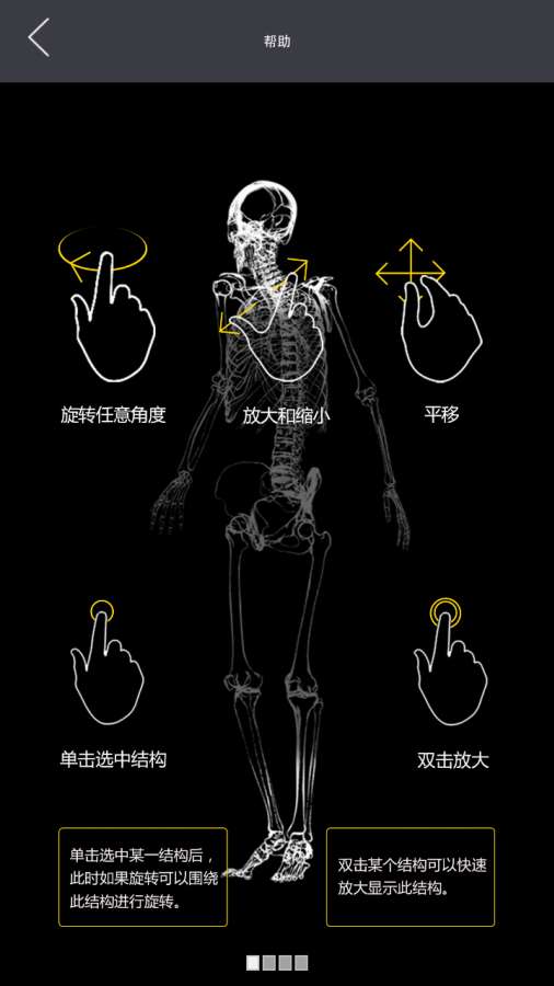 3dbody解剖免费版图2