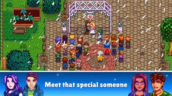 星露谷物语手机版StardewValley图1