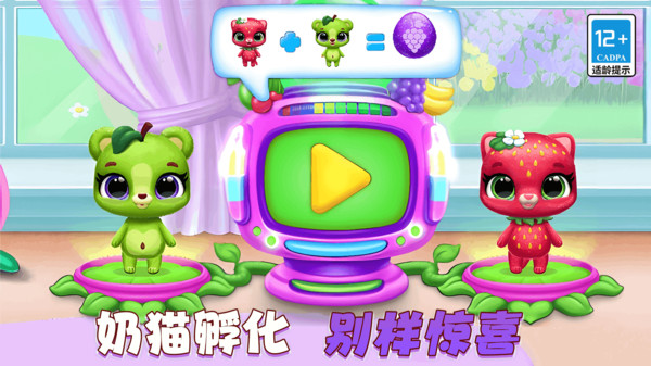 图1