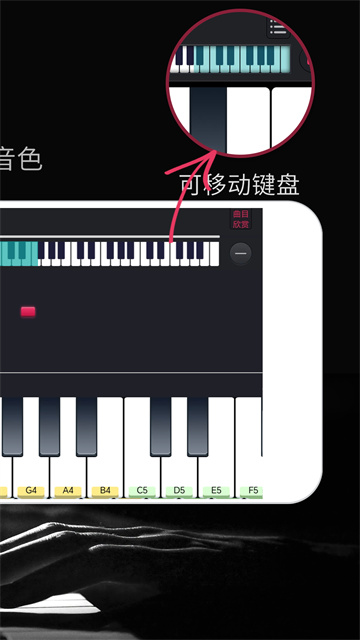 模拟钢琴app图3