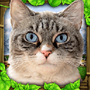 流浪猫模拟器(StrayCatSim)