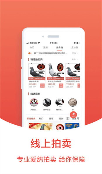搜鸽天下图3