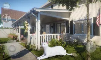 会说话的缅甸猫Talking Burmese Cat