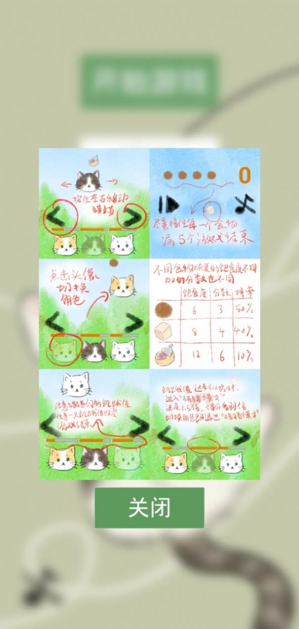 猫猫吃成猪猪游戏