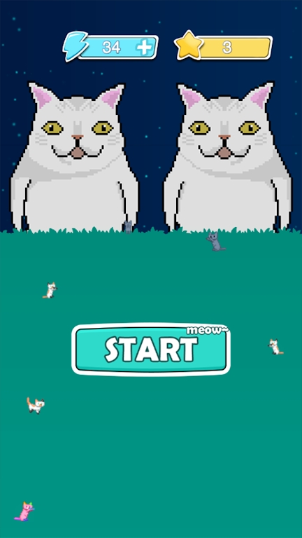 喵Meow