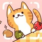 美食和猫FoodAndCat