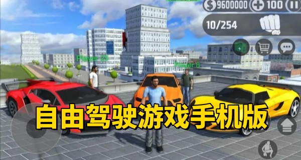 自由驾驶游戏
