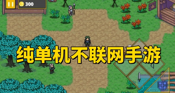 纯单机不联网手游
