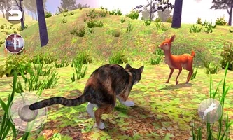 会说话的印花布猫Talking Calico Cat