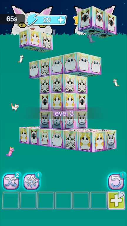 喵Meow