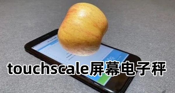 touchscale屏幕电子秤
