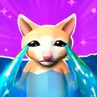 猫咪迷因捉迷藏Cat Meme Hide and Seek