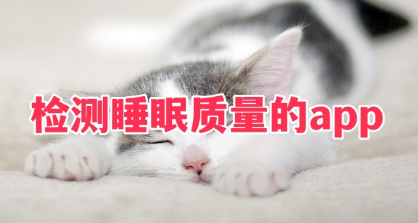 检测睡眠质量的app