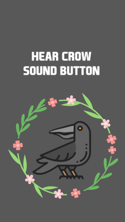 乌鸦叫声按钮Crow Sound Button