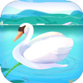 蓝天鹅app