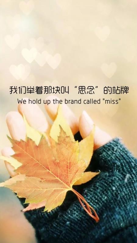 旅游到我家软件