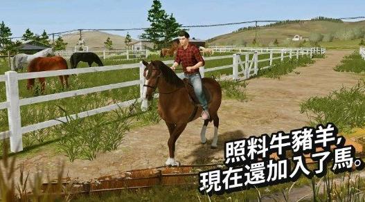 模拟农场20