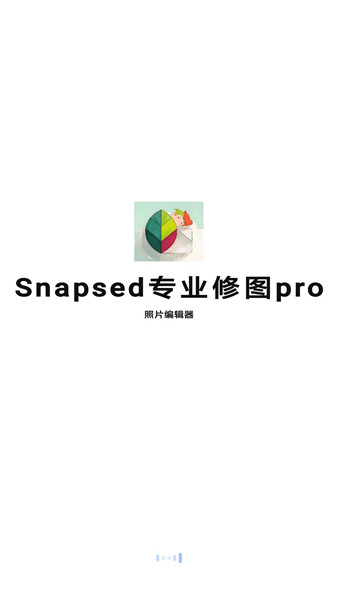 Snapsed专业修图pro软件