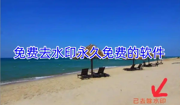 免费去水印永久免费的软件