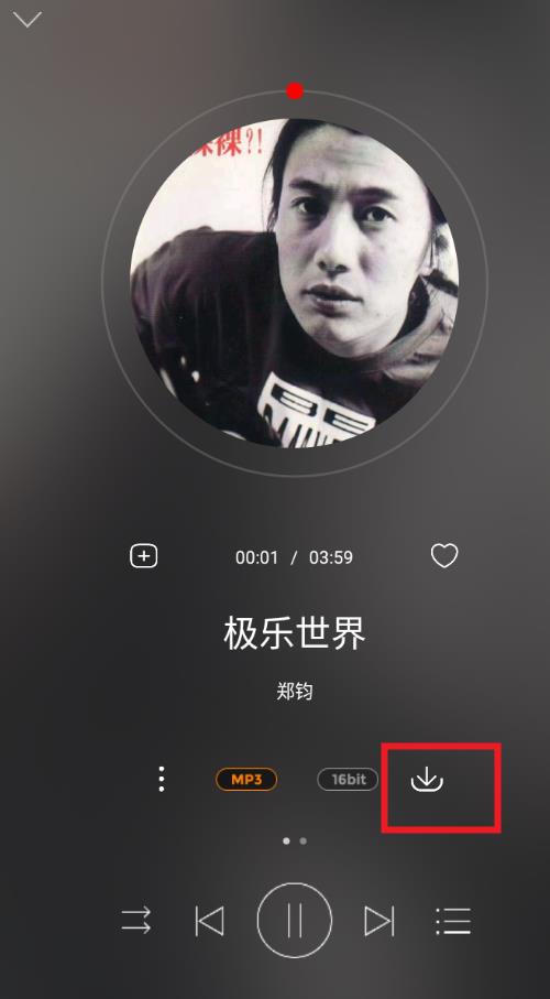 hifi音乐专业版app官方版