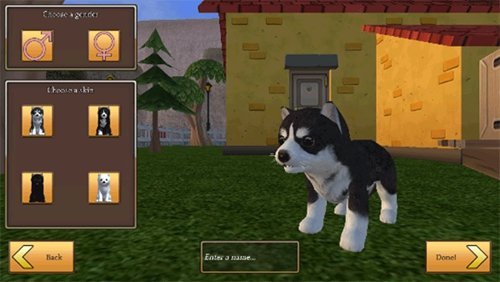 美国ZOOM动物(dog simulator - animal life)