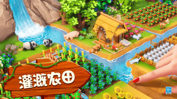 图4