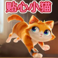 猫猫大冒险游戏