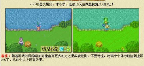 牧场物语矿石镇的伙伴们游戏