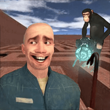 盖瑞模组4