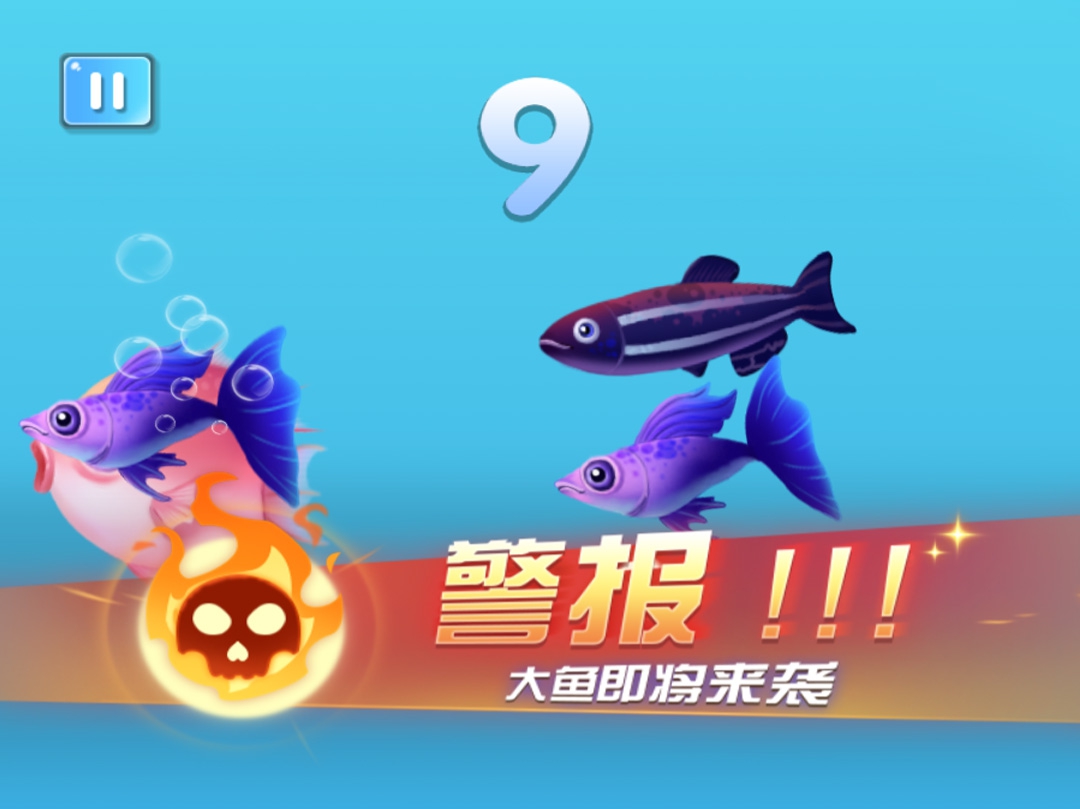 鱼之王者之路