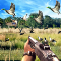 Duck Hunting challenge