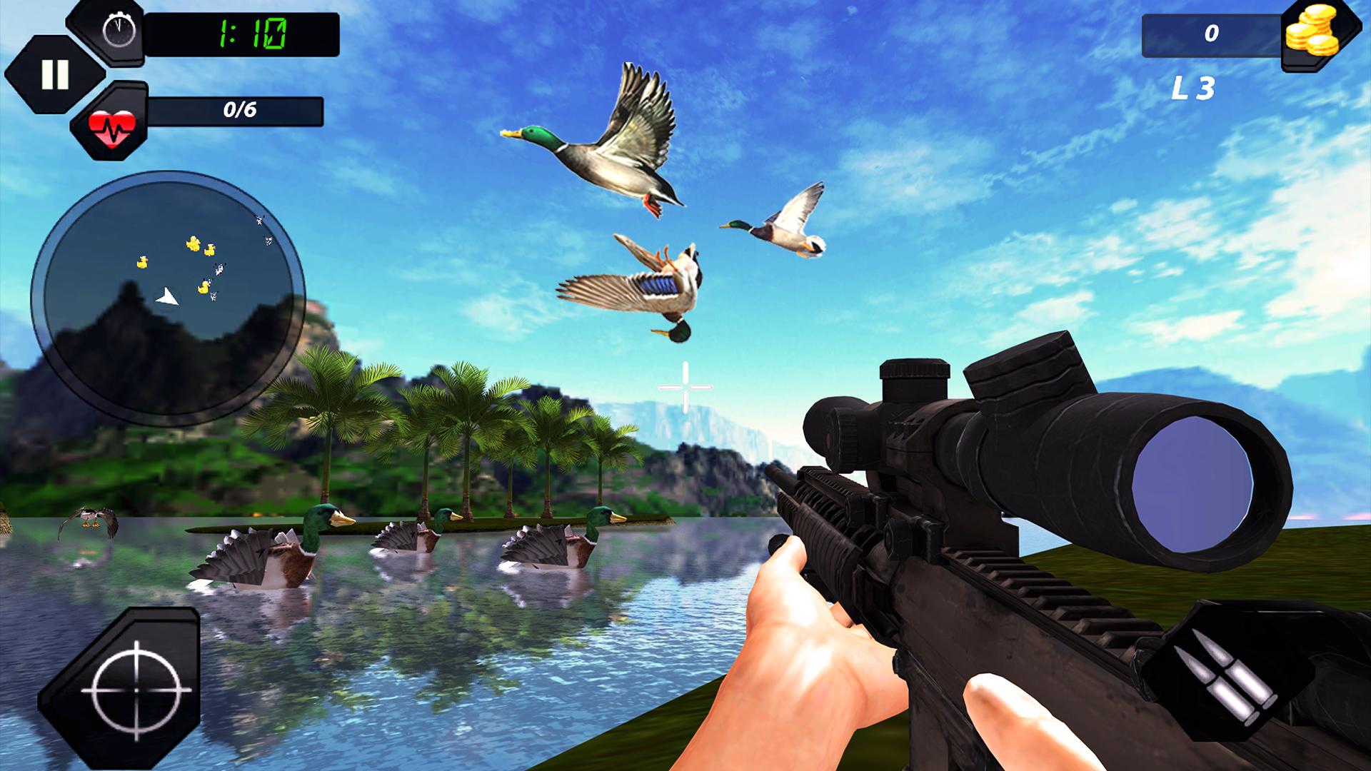Duck Hunting challenge