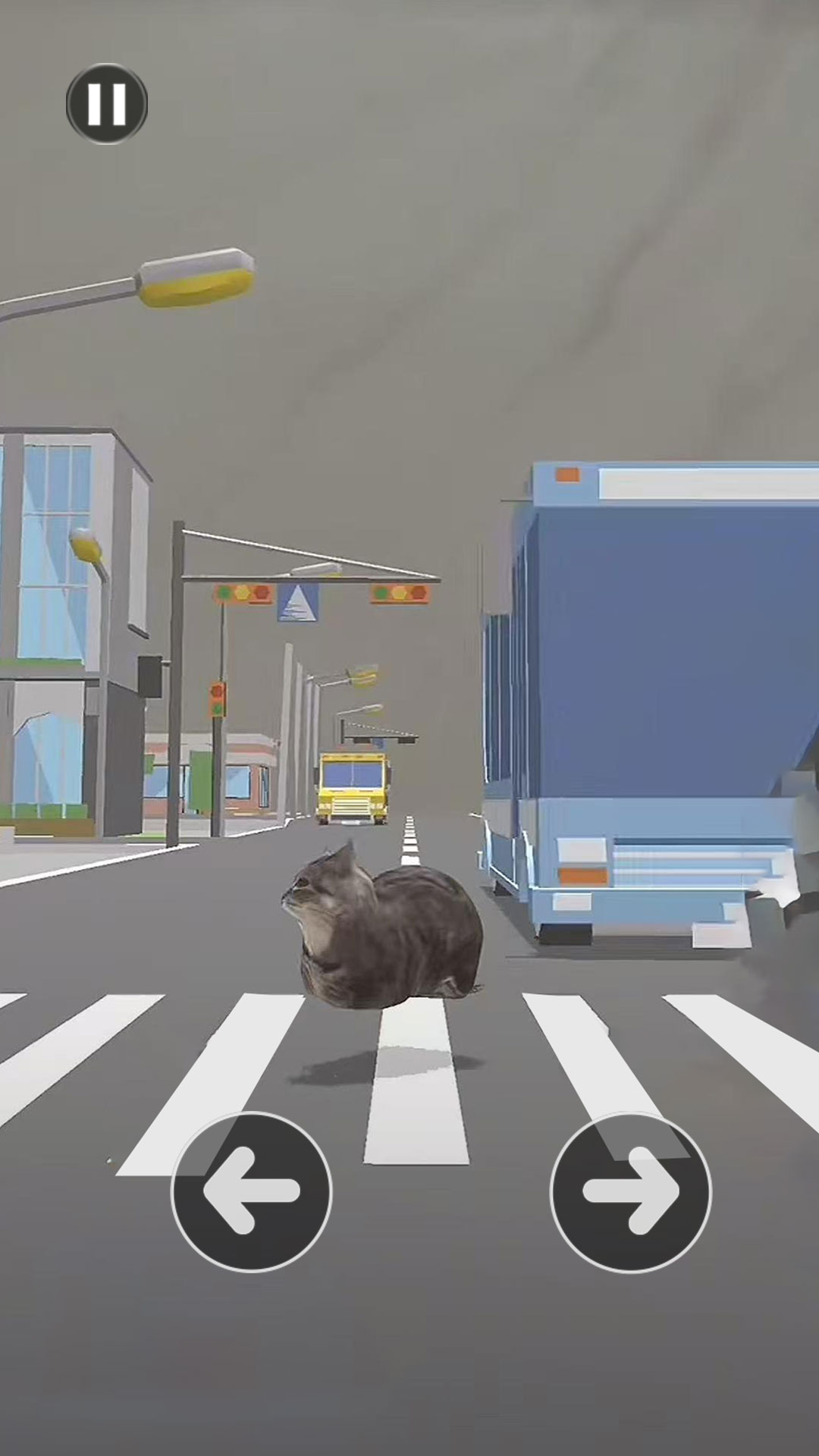 小猫爱冒险