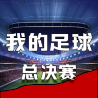 我的足球总决赛游戏